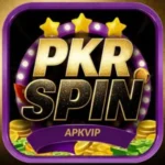PKR Spin Game Download APK